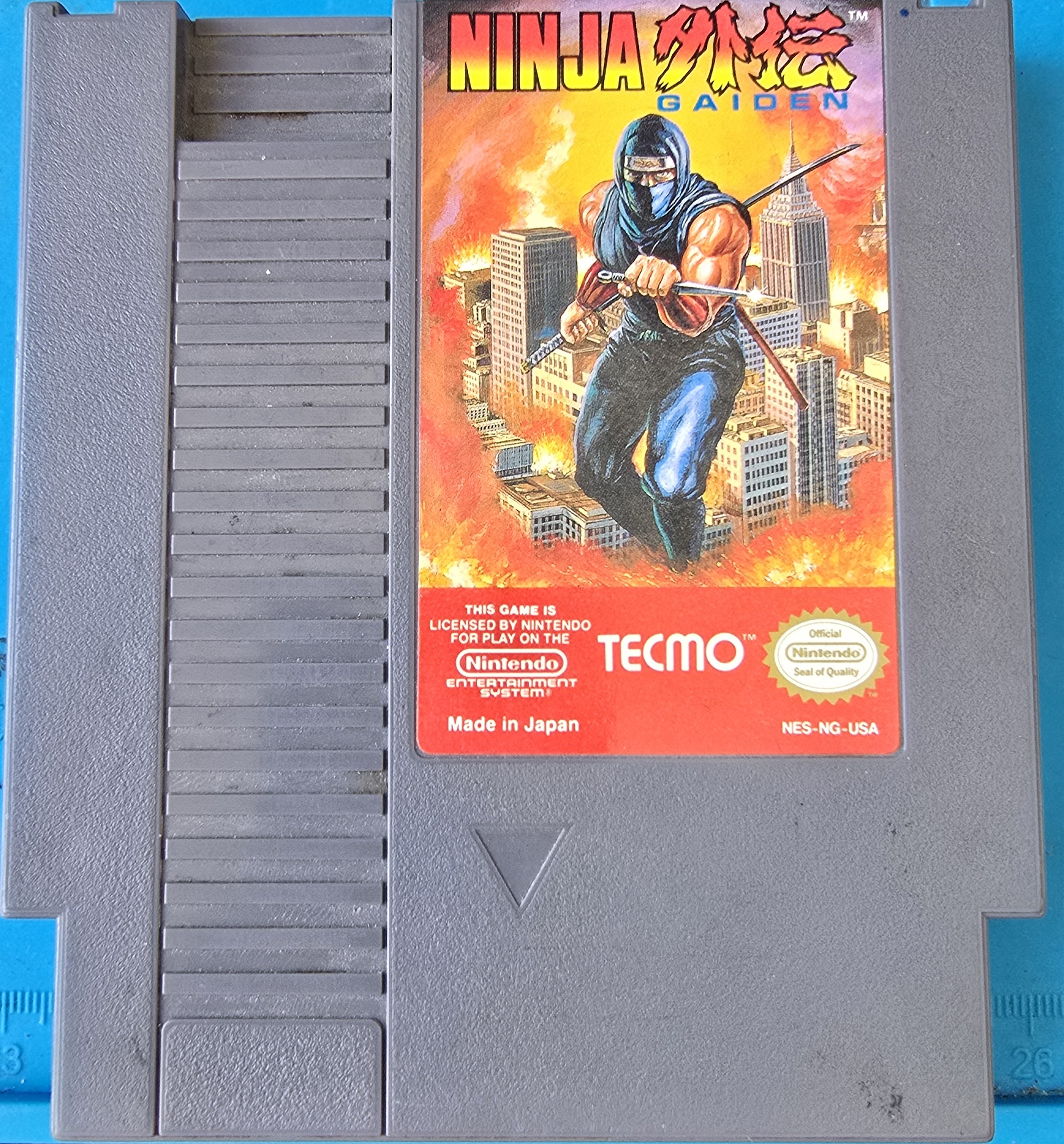 Ninja Gaiden